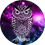 Rawrathena42